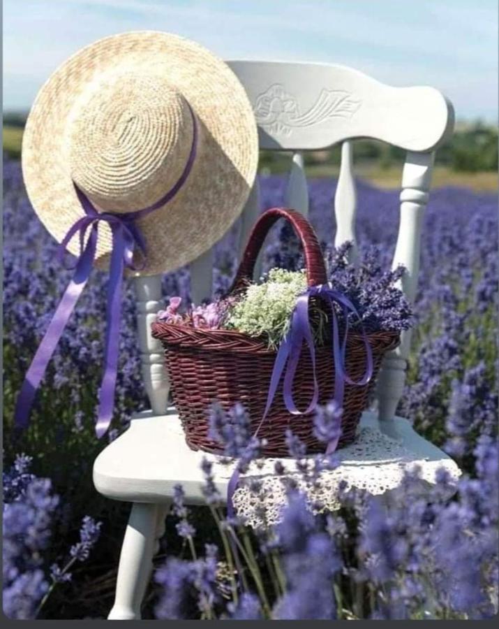 Grange Voutee Avec Jardin Villa Mane Kültér fotó