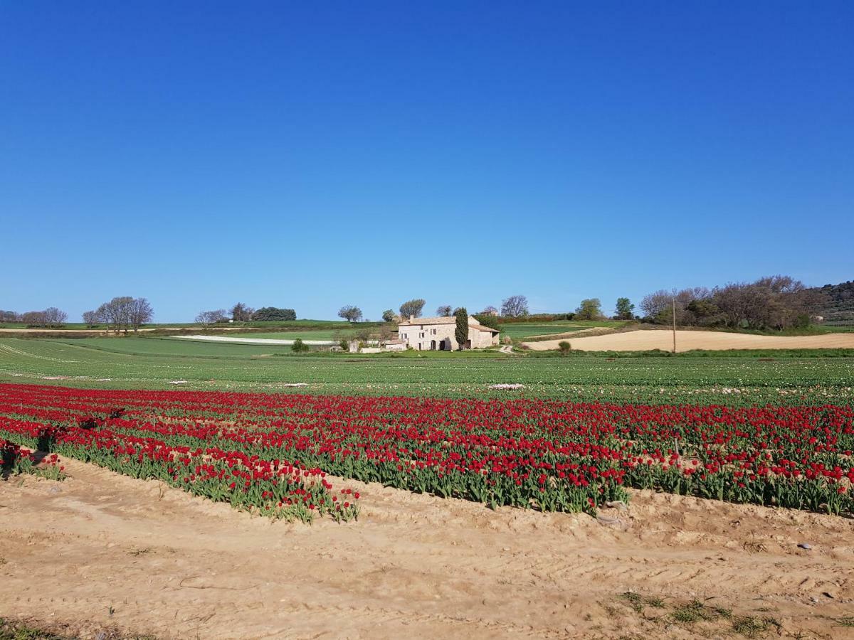 Grange Voutee Avec Jardin Villa Mane Kültér fotó