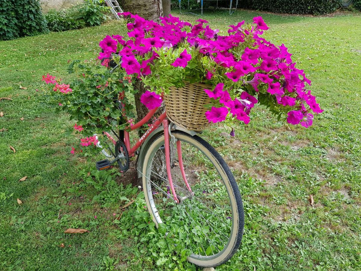 Grange Voutee Avec Jardin Villa Mane Kültér fotó